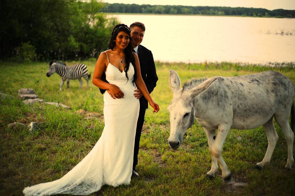 Newlyweds with the animals