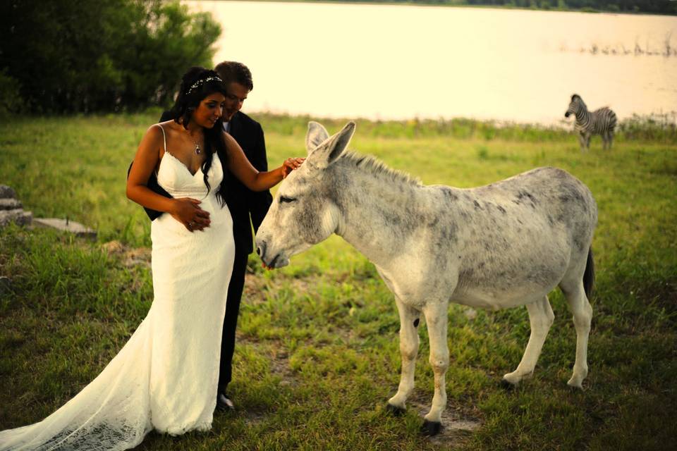 Peninsula Ranch and Lodge