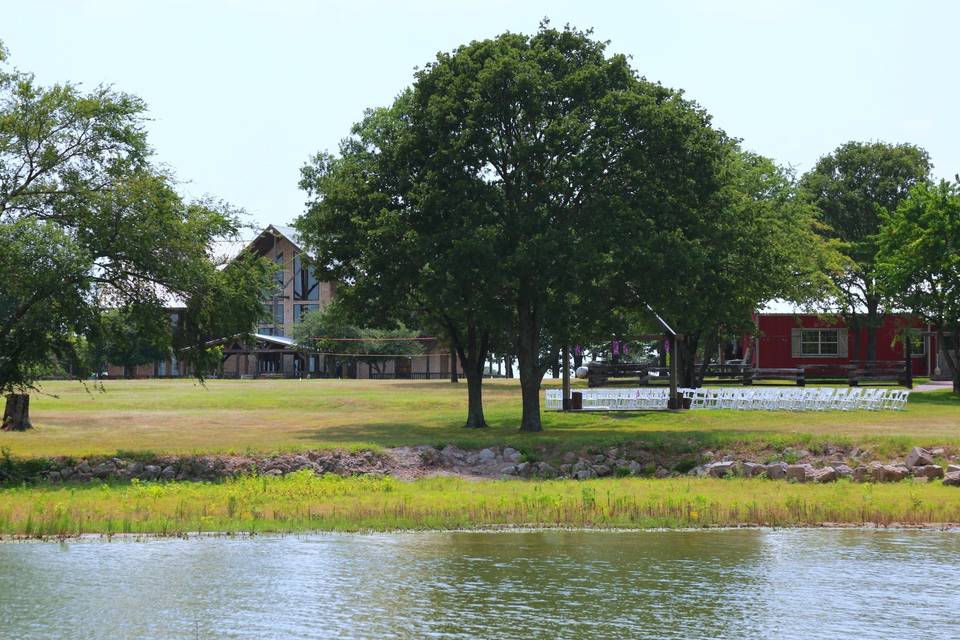 Trees by the lake