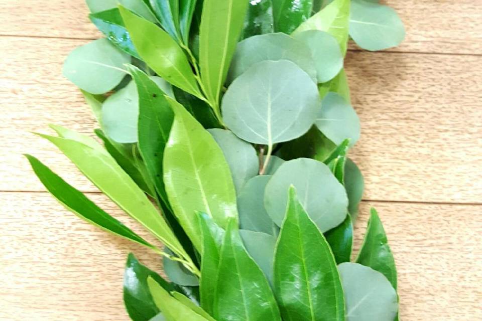 Everleaf Decorative Greens