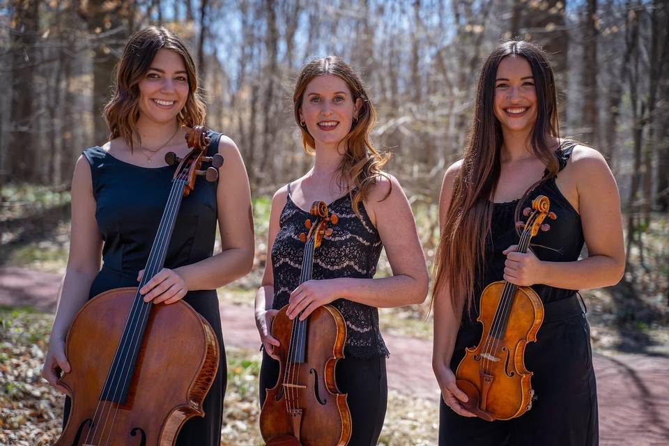 The Skylark Trio