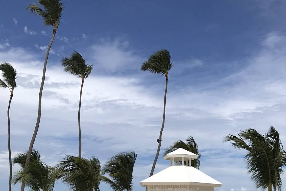 Beach wedding site