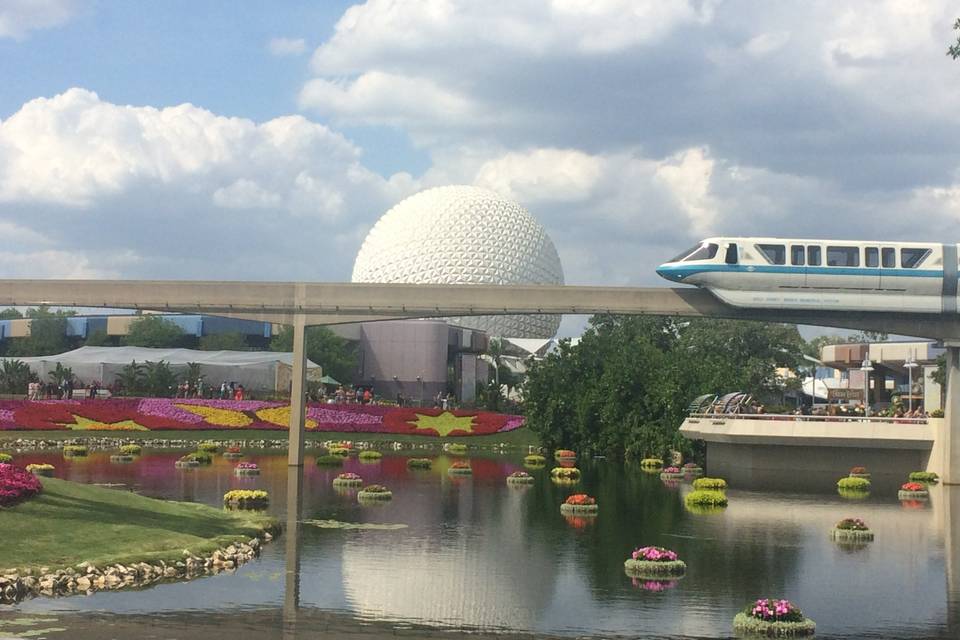 Pond view