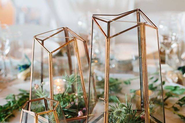Terrarium centerpieces