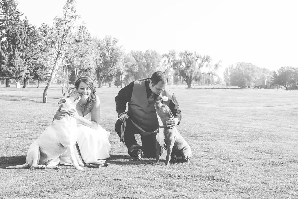 Couple with their dogs