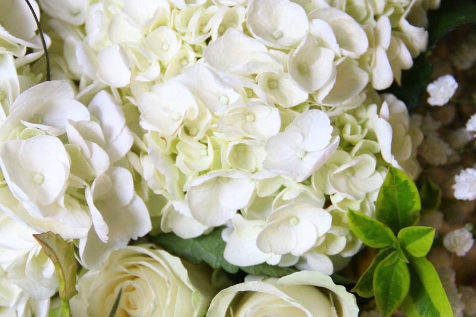 Timeless white floral