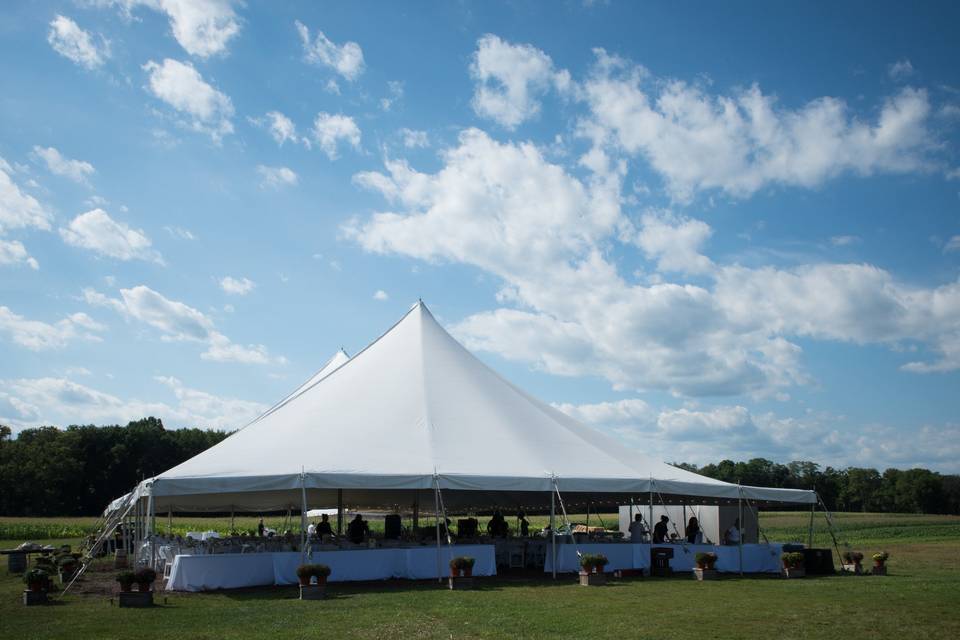 Marquee wedding reception