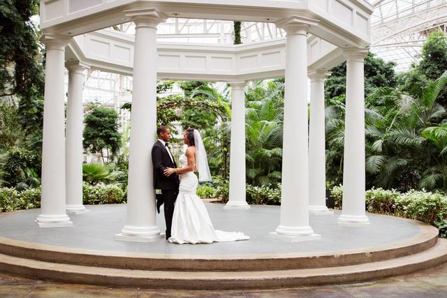 Bina Brodley Photography