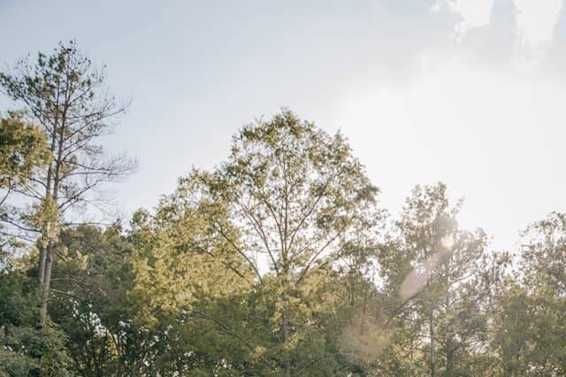 Outdoor Ceremony