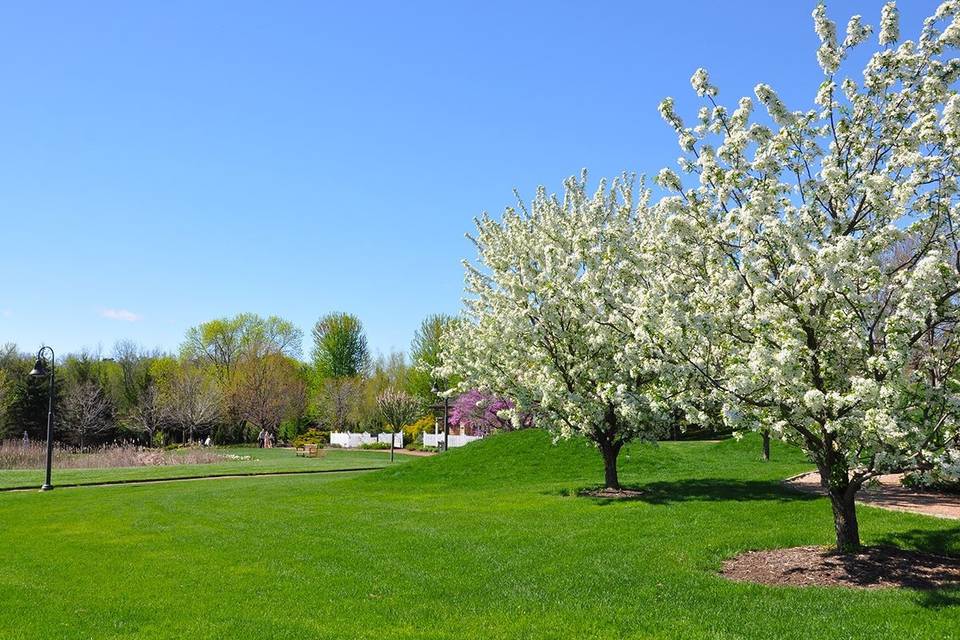 Reiman Gardens