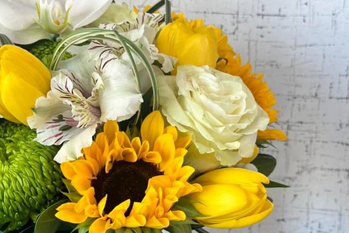 Ambrosia Flowers