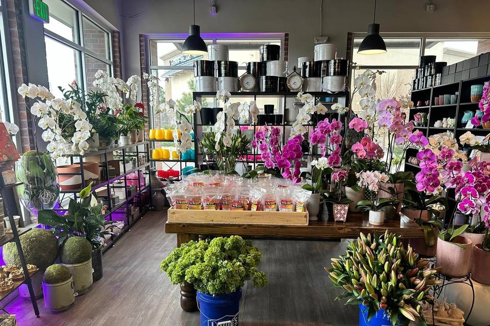 Ambrosia Flowers
