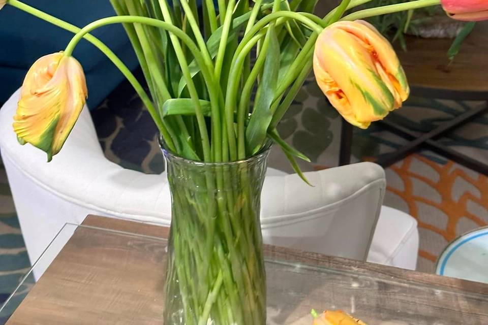 Ambrosia Flowers