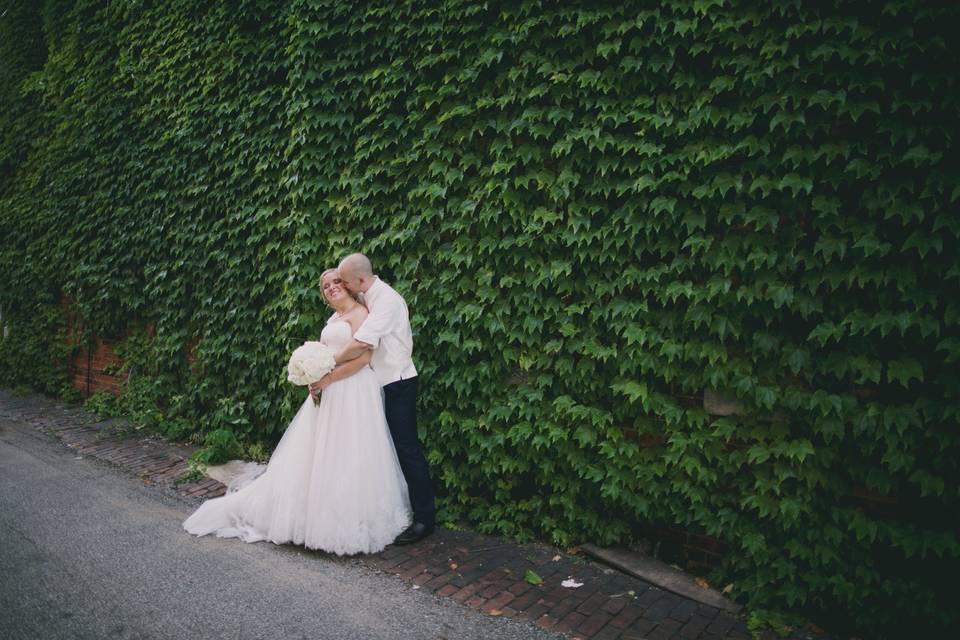 Wall Of Ivy