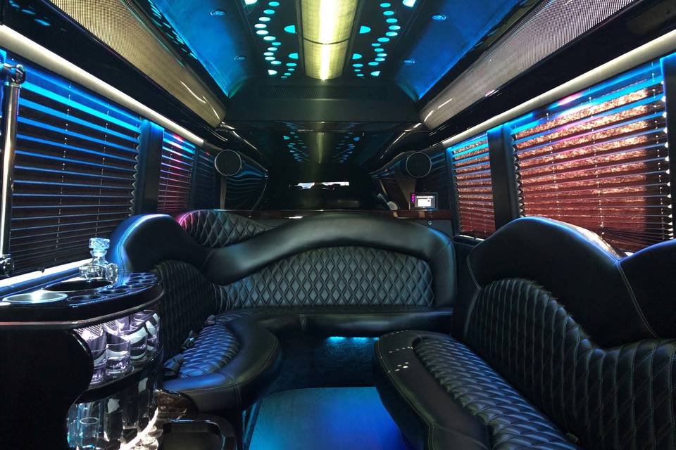 12 passenger limo coach