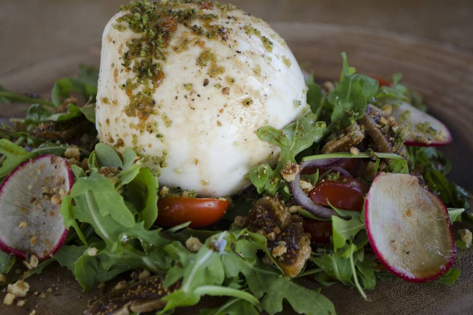 Burrata