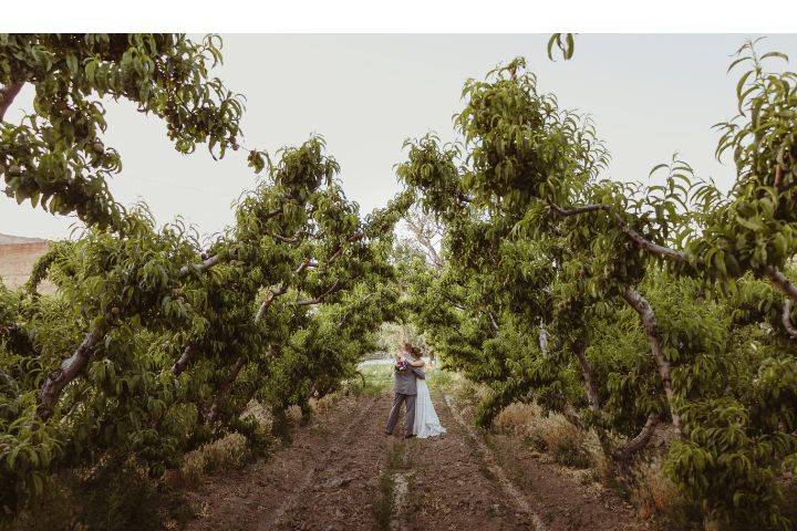 Orchard Couple Photo