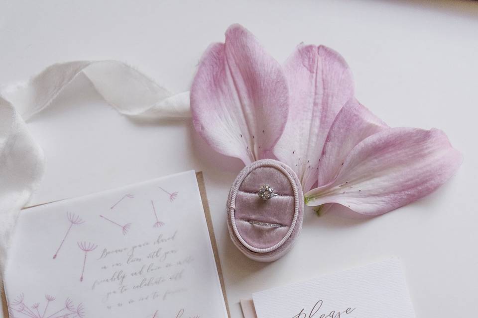Trudy Moylan Photography