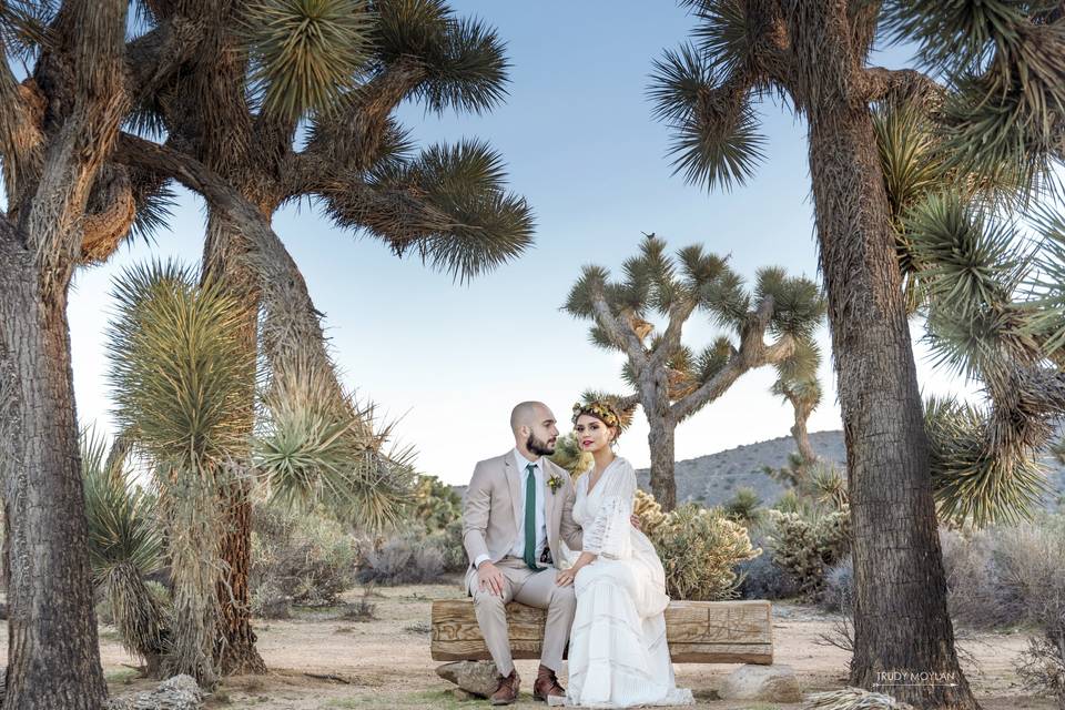 Trudy Moylan Photography