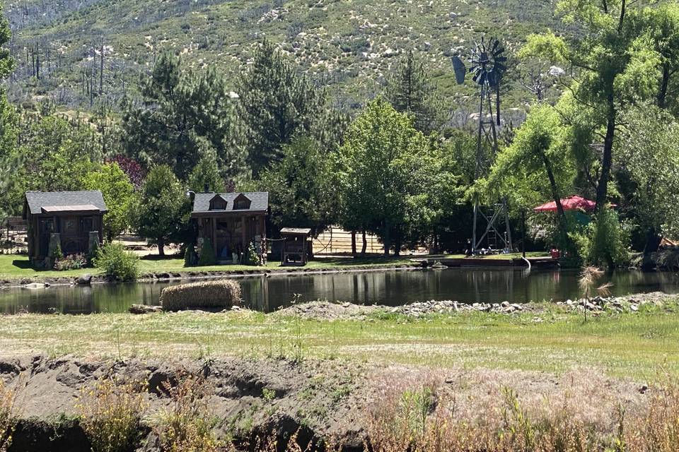 Pond view from front gate