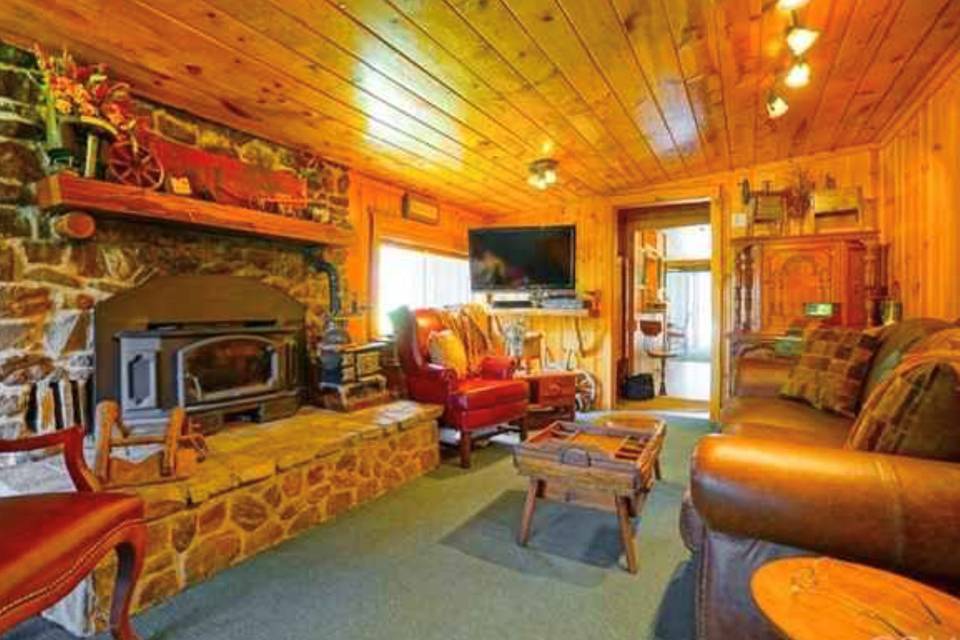 Rustic Cabin family room