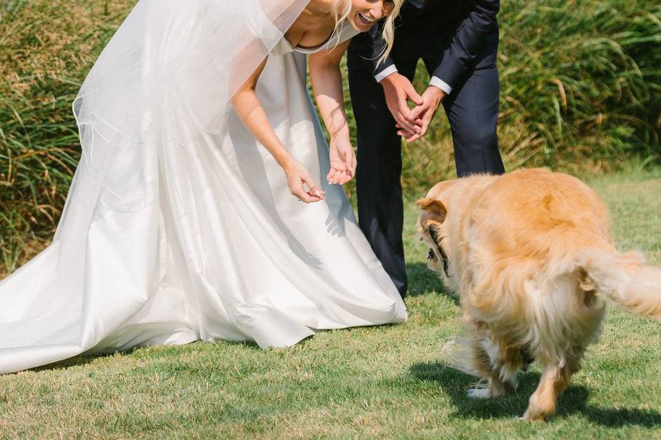 Nantucket Wedding