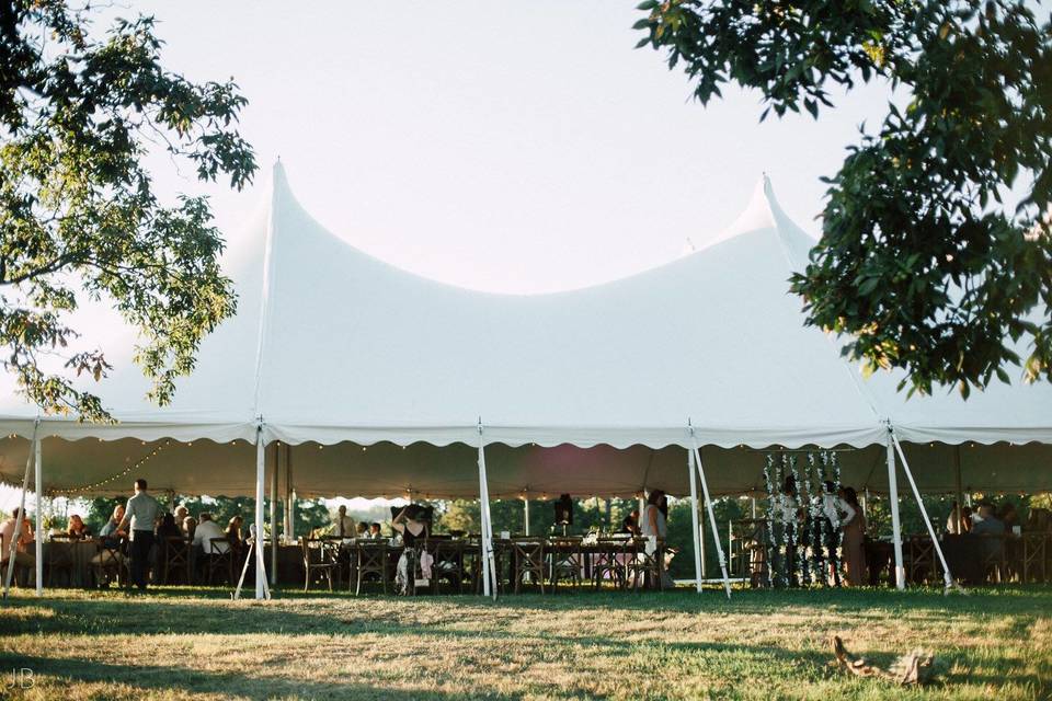 Pole Tent