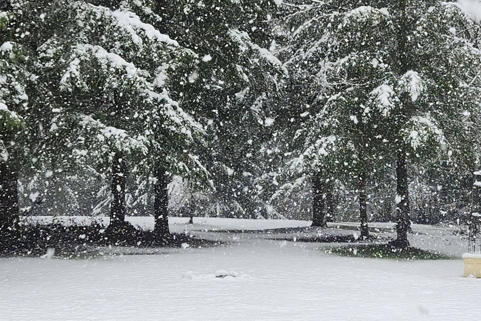 Big Fluffy Snowflakes!