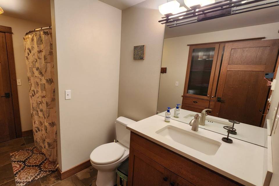 Hallway Bathroom