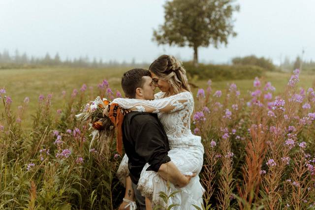 Fireweed fields