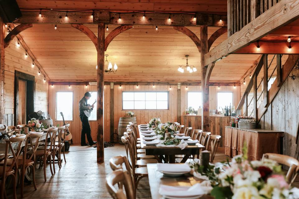 Bride and horses
