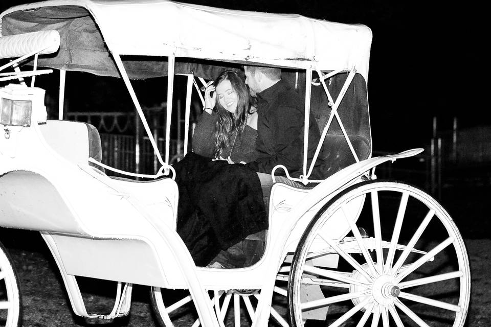 B/w Carriage Ride