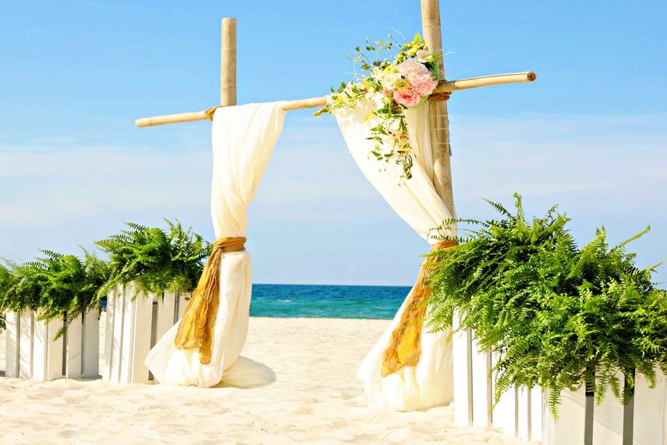 Beach Dream Weddings