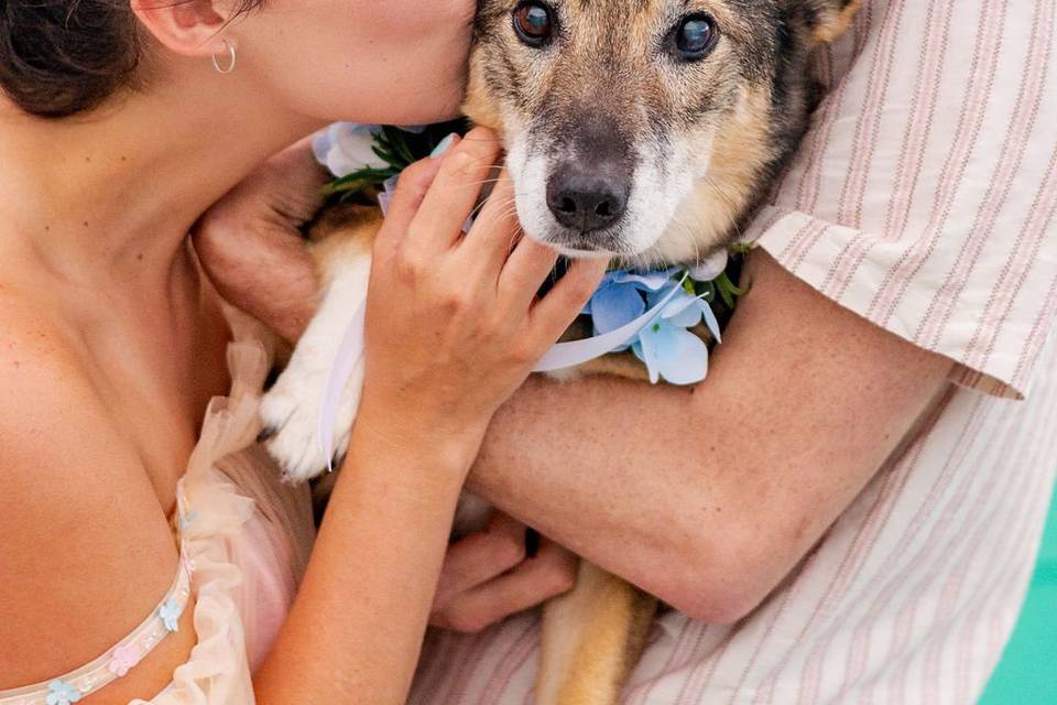 Wedding portrait with dog