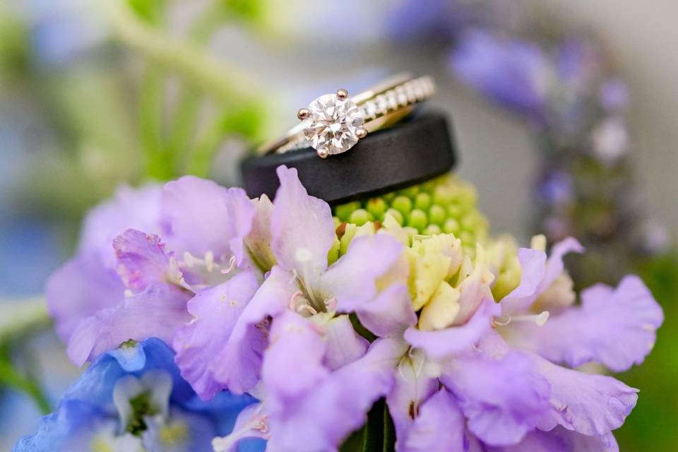 Closeup of wedding rings