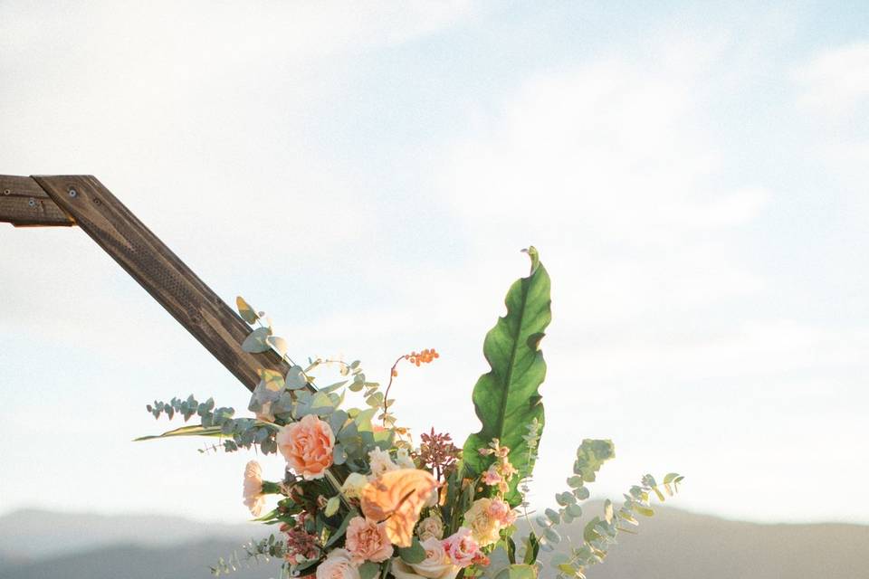 Carmel Valley Wedding