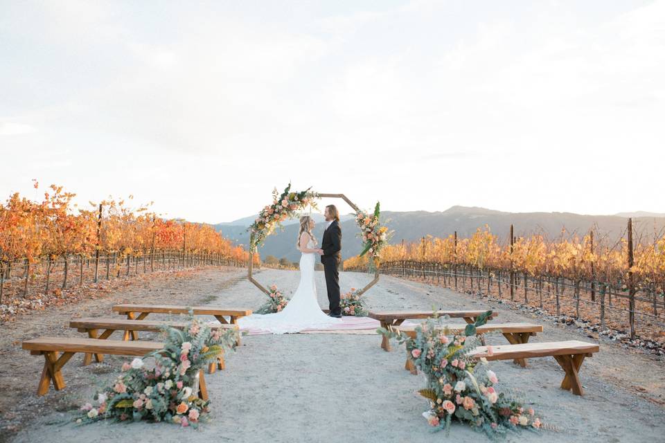 Carmel Valley Wedding