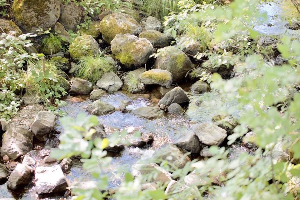 Natural Springs Flowing