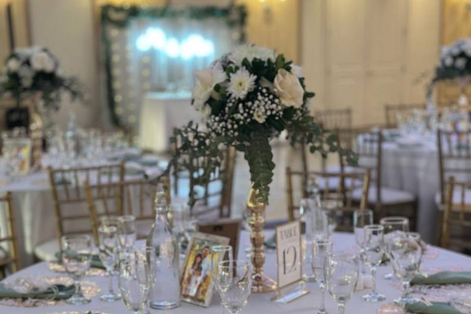 Elegant Decorations & Catering