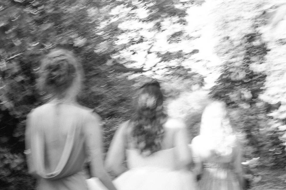 Bridesmaids