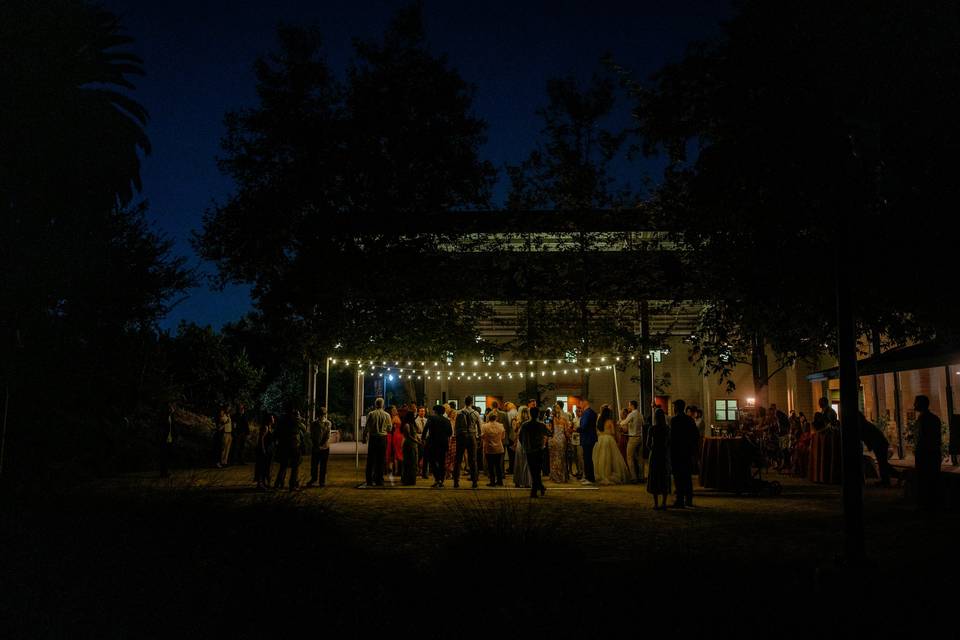Wedding reception