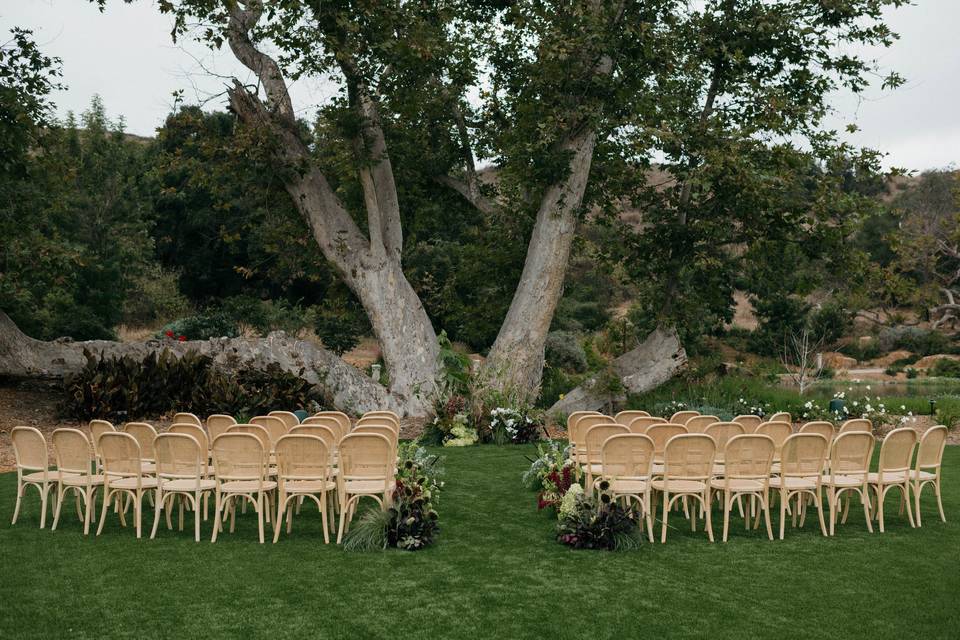 Wedding ceremony