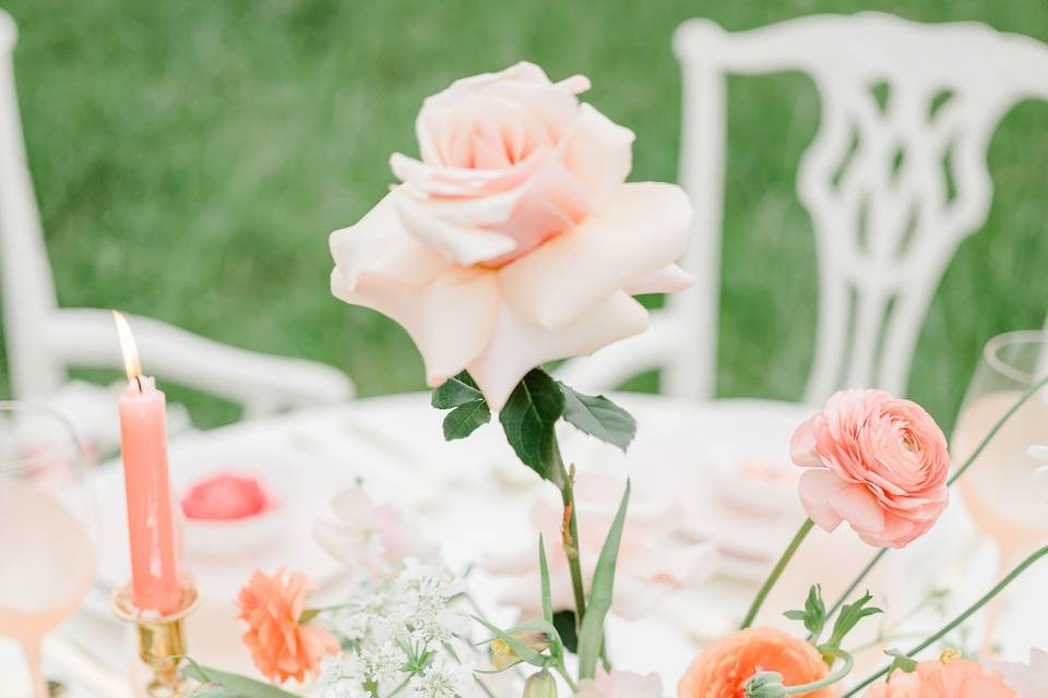 Coral Centerpiece