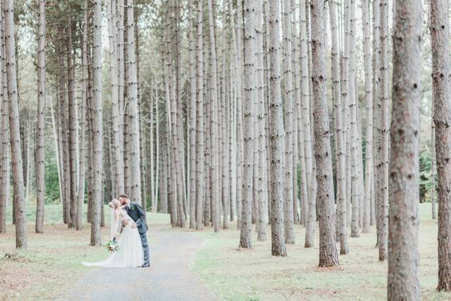 Catherine Ladd Photography