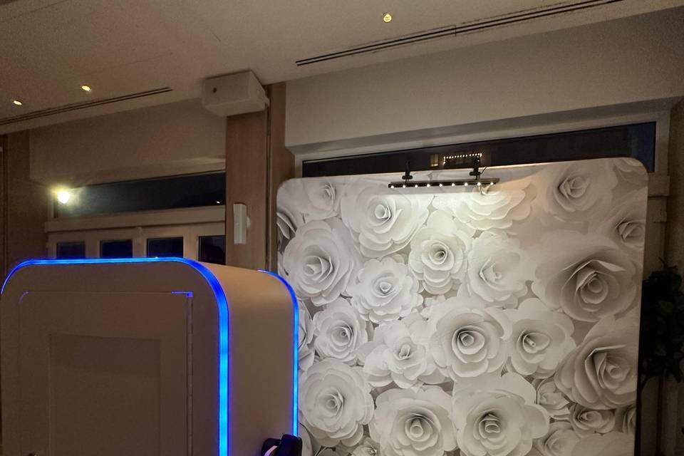 White rose wall