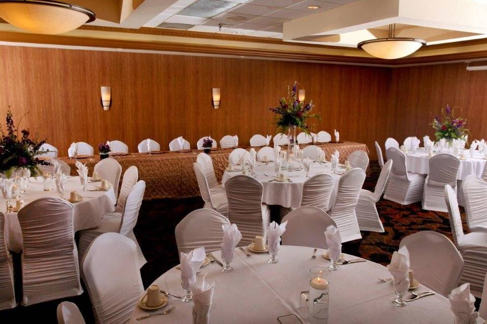 Our Grand Ballroom can seat up to 300 guests for next wedding or formal event at the Holiday Inn Dubuque/Galena.