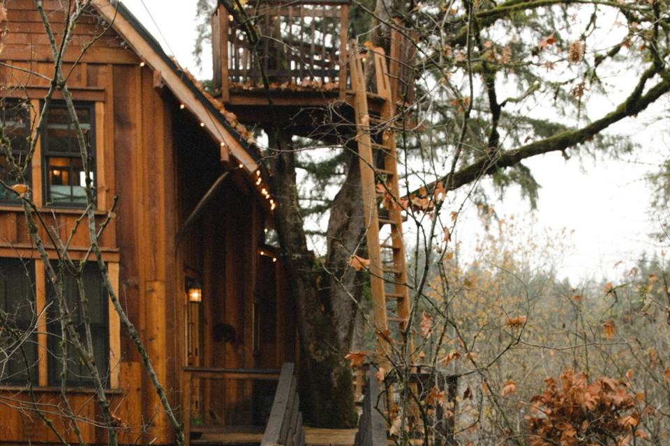 Treehouse wedding suite