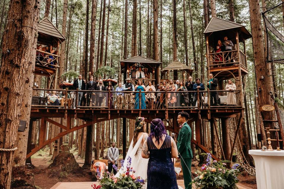 The Emerald Forest - Park & Outdoor Weddings - Redmond, WA - WeddingWire