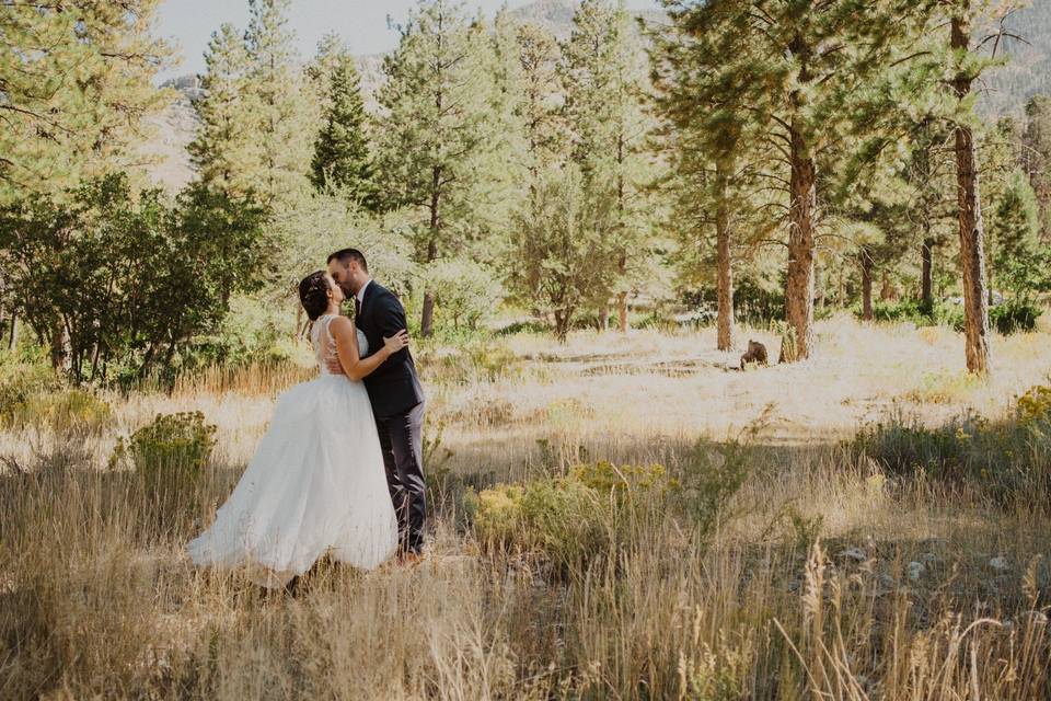 Mt. Charleston Wedding Bridals