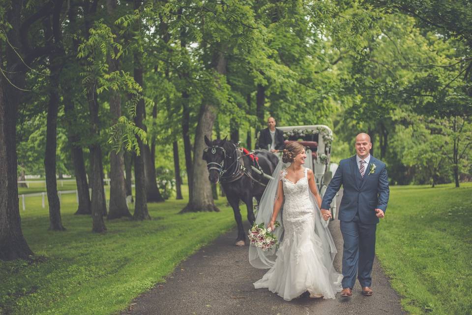 Newlyweds, Horse & Carriage